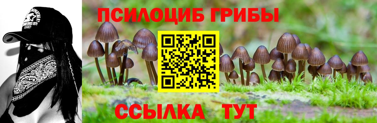 Галлюциногенные грибы мухоморы  Вход с VPN  Узловая 